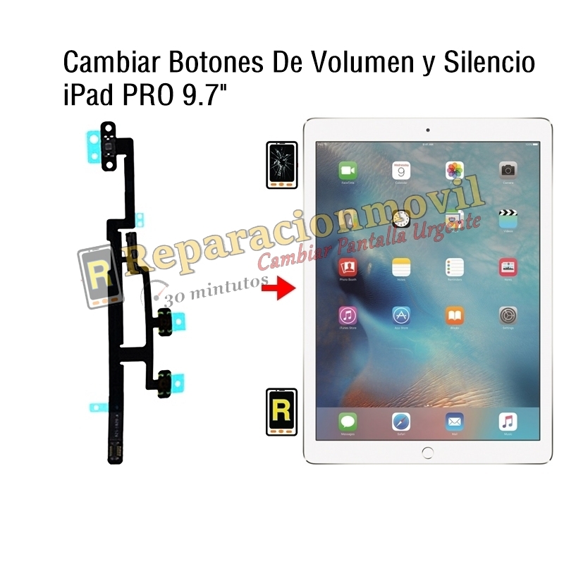 Cambiar Botones De Volumen y Silencio iPad Pro 9.7
