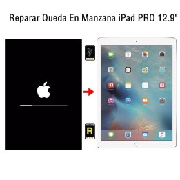 Reparar Queda En Manzana iPad Pro 12.9