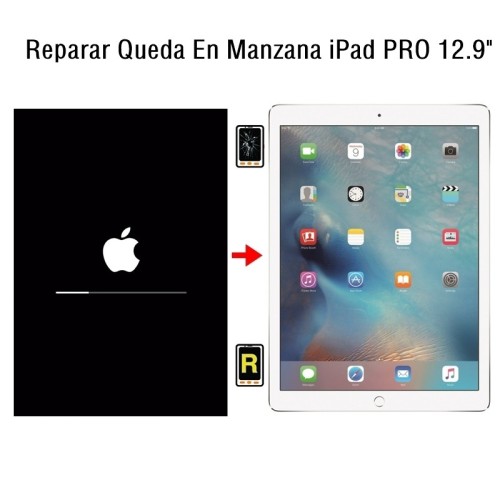 Reparar Queda En Manzana iPad Pro 12.9