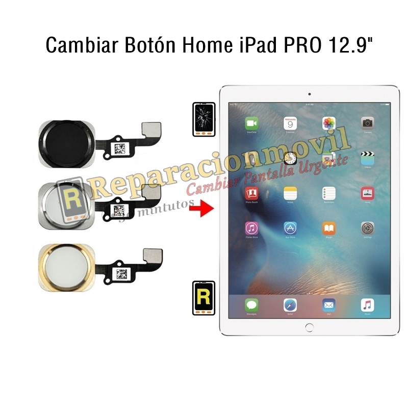 Cambiar Botón Home iPad Pro 12.9