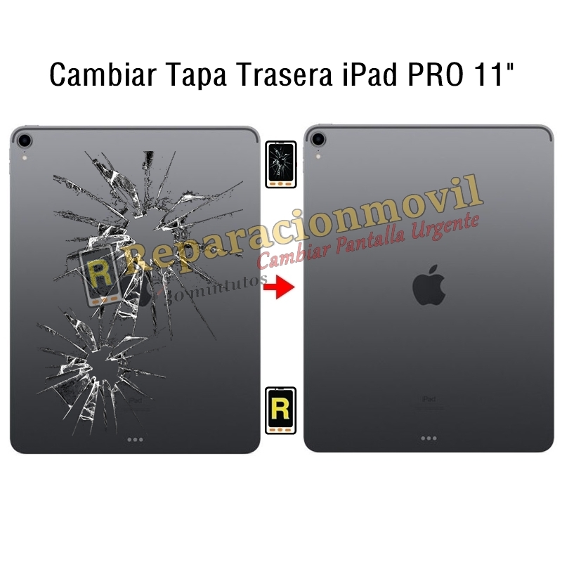 Cambiar Tapa Trasera iPad Pro 11