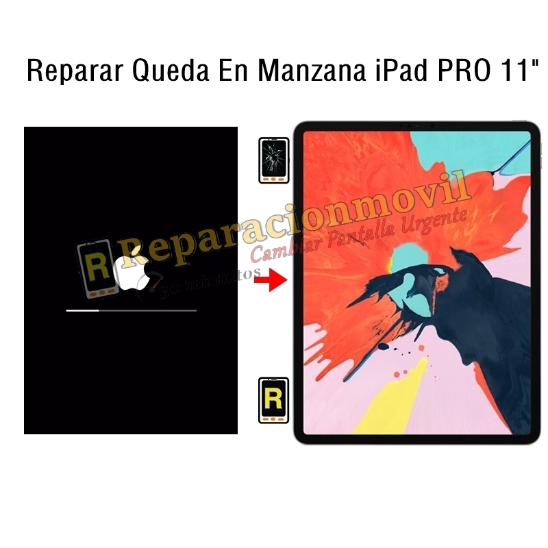 Reparar Queda En Manzana iPad Pro 11