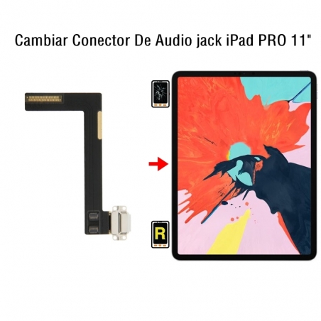 Cambiar Conector De Audio jack iPad Pro 11