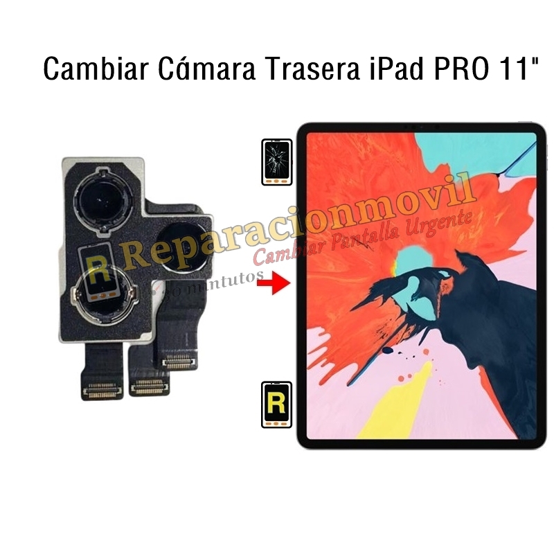 Cambiar Cámara Trasera iPad Pro 11