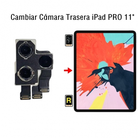 Cambiar Cámara Trasera iPad Pro 11