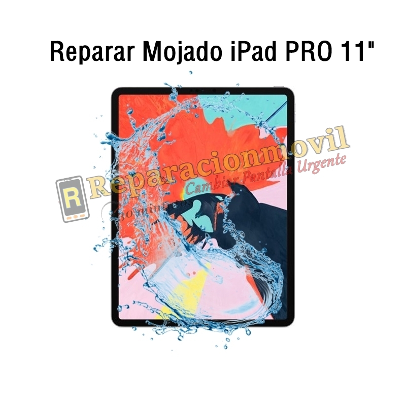 Reparar Mojado iPad Pro 11