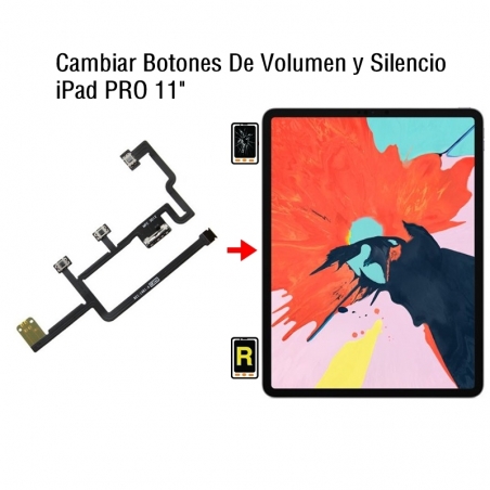 Cambiar Botones De Volumen y Silencio iPad Pro 11