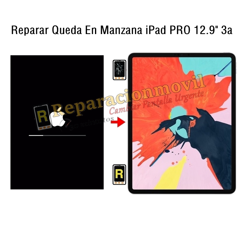 Reparar Queda En Manzana iPad Pro 12.9 2018