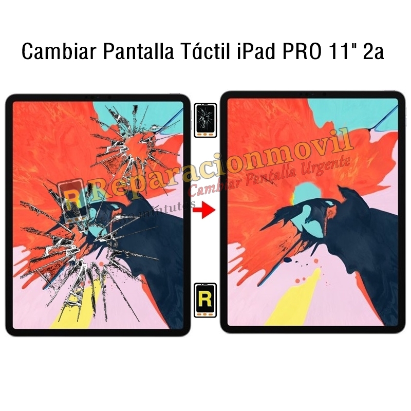 Cambiar Cristal de Pantalla iPad Pro 11 2020