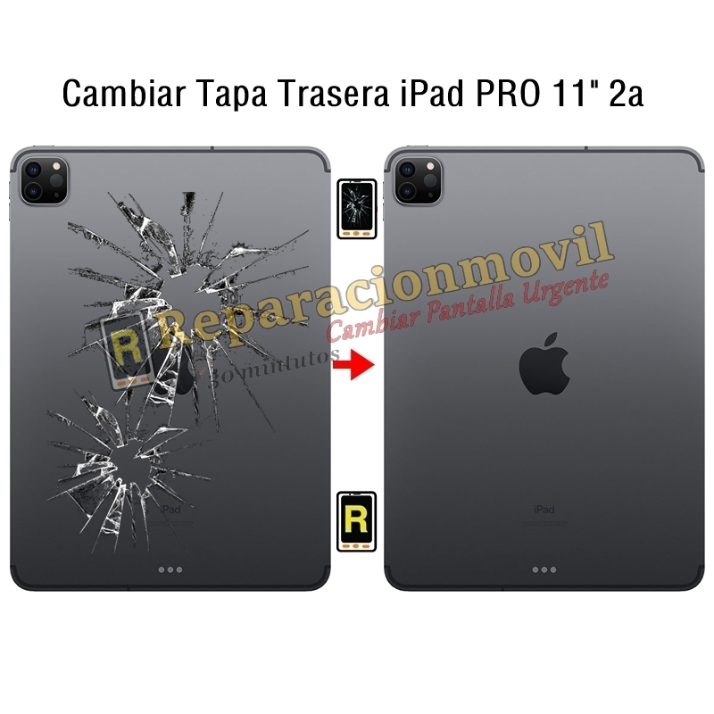 Cambiar Tapa Trasera iPad Pro 11 2020