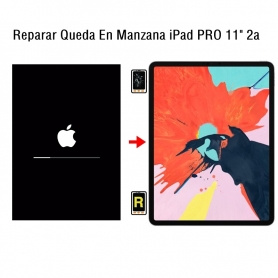 Reparar Queda En Manzana iPad Pro 11 2nd Gen