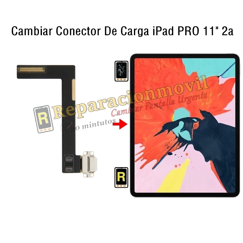 Cambiar Conector De Audio jack iPad Pro 11 2020