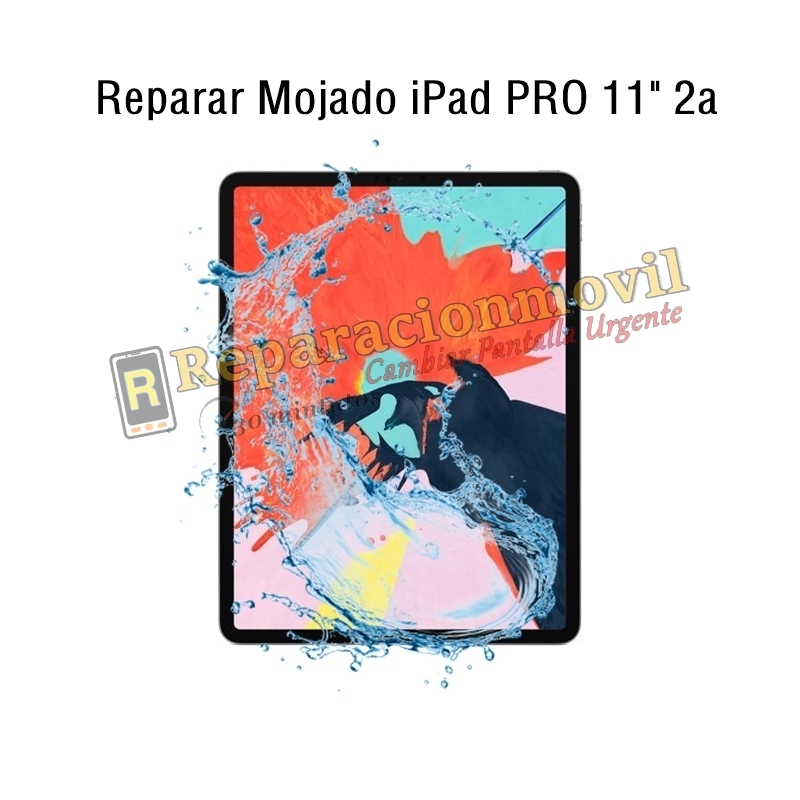 Reparar Mojado iPad Pro 11 2020