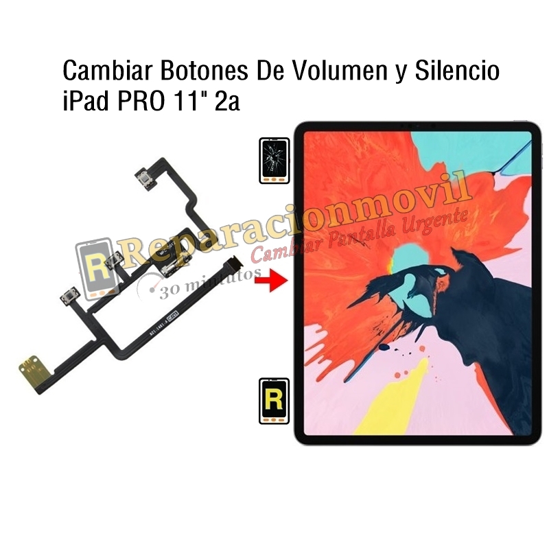 Cambiar Botones De Volumen y Silencio iPad Pro 11 2020
