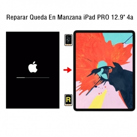 Reparar Queda En Manzana iPad Pro 12.9 4nd Gen
