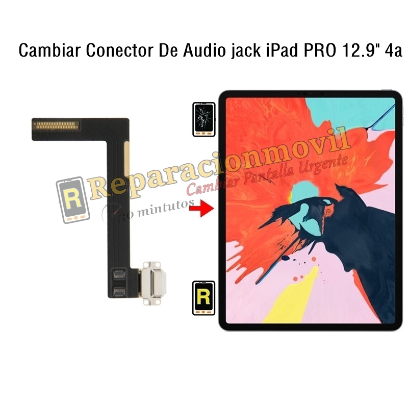 Cambiar Conector De Audio jack iPad Pro 12.9 2020