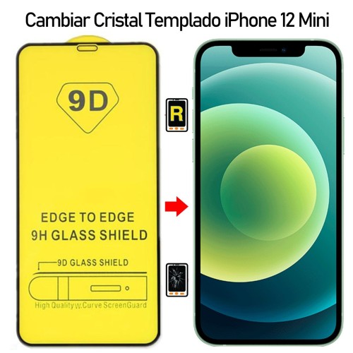 Protector De Pantalla iPhone 12 Mini