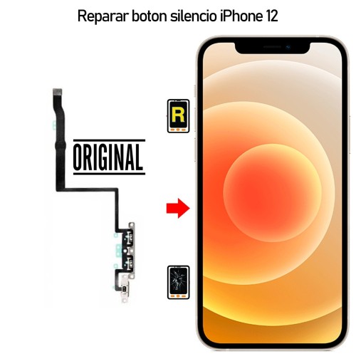 Cambiar Botón Silencio iPhone 12