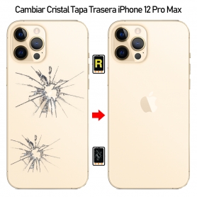 Cambiar Tapa Trasera iPhone 12 Pro Max