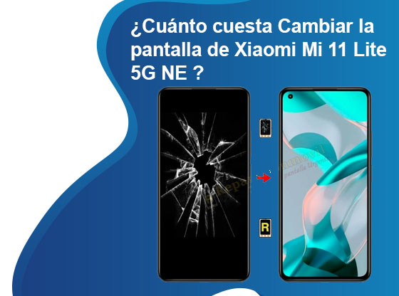 Écran LCD + Tactile Pour Xiaomi Mi 11 Lite 5G NE - Noir - Neuf