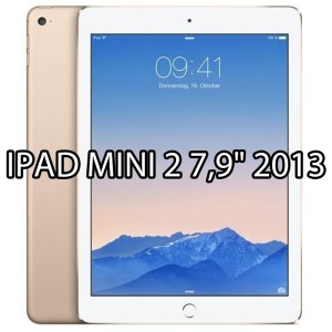 Reparar iPad Mini 2 2013 (A1489 A1490 A1491)