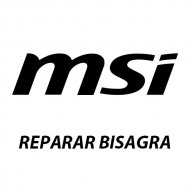Reparar Bisagra Portátiles MSI | Servicio técnico Portátiles MSI