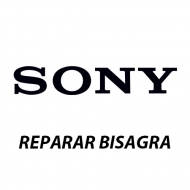 Reparar Bisagra Portátiles Sony | Servicio técnico Portátiles Sony